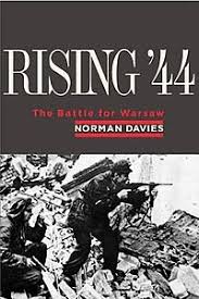 Rising '44, The Battle for Warsaw - Image 3